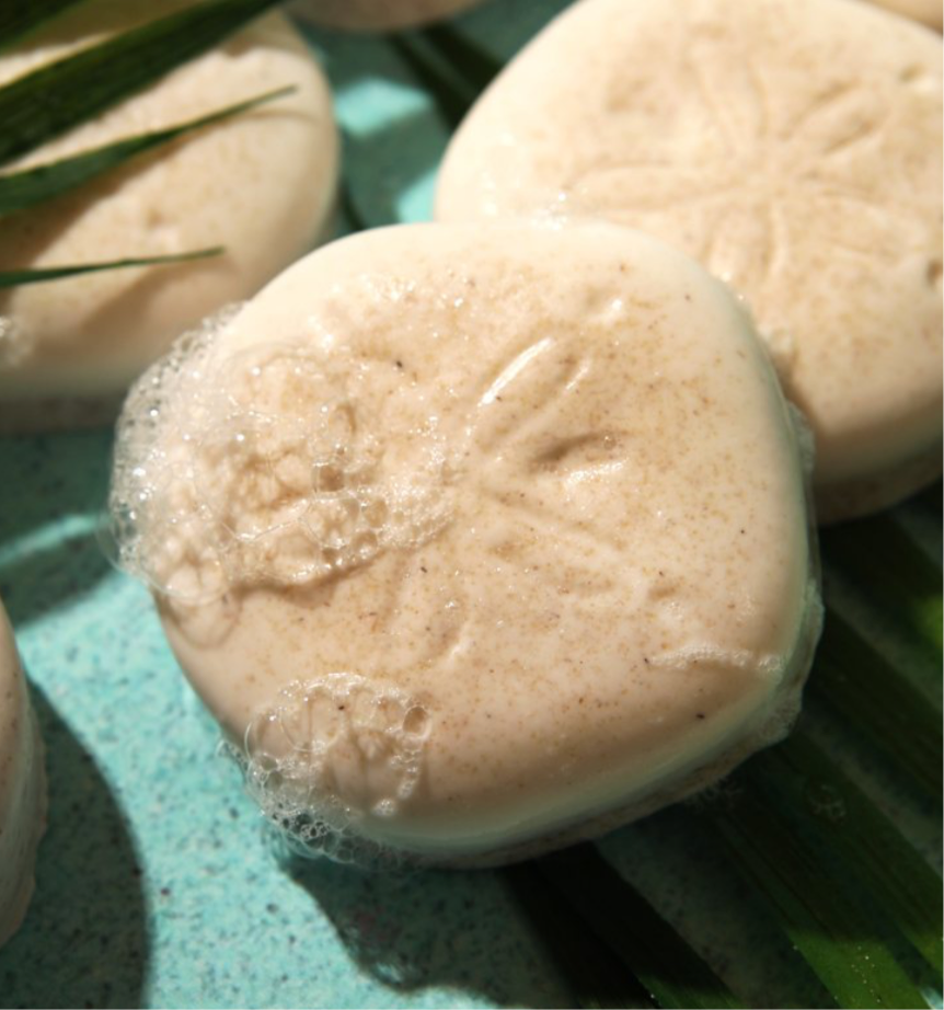 “Coconut Paradise” Scented Sand Dollar Shaped Soap Bar - Oatmeal Based