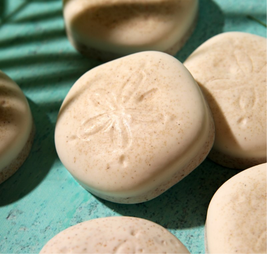 “Coconut Paradise” Scented Sand Dollar Shaped Soap Bar - Oatmeal Based