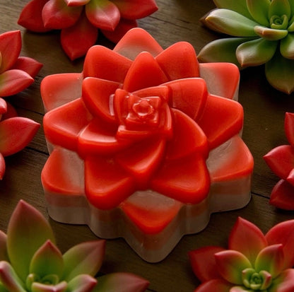 “Campfire” Scented Bar Soap With Aloe