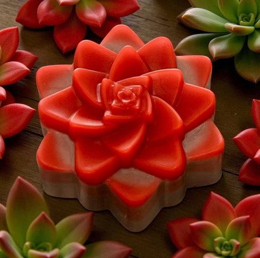 “Campfire” Scented Bar Soap With Aloe